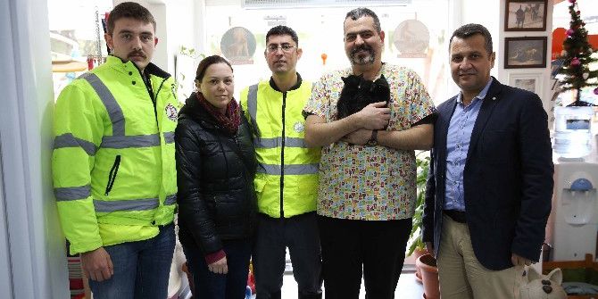 Şanslı Kediler Yuva Arıyor