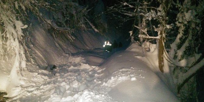 Hayvanları İçin Donmayı Göze Aldılar