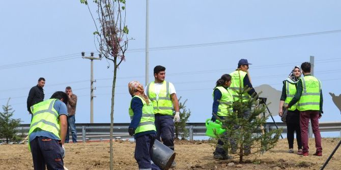 Giresun, Ordu Ve Sivas’ta Fidan Seferberliği