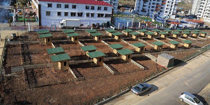 Tece’deki Hobi Bahçesi’nin Kura Çekimi Yapıldı