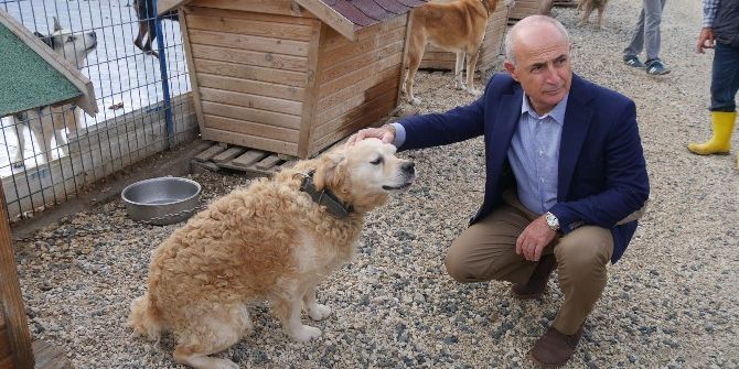 Büyükçekmece Esnafına ’Hayvan Dostu’ Sticker