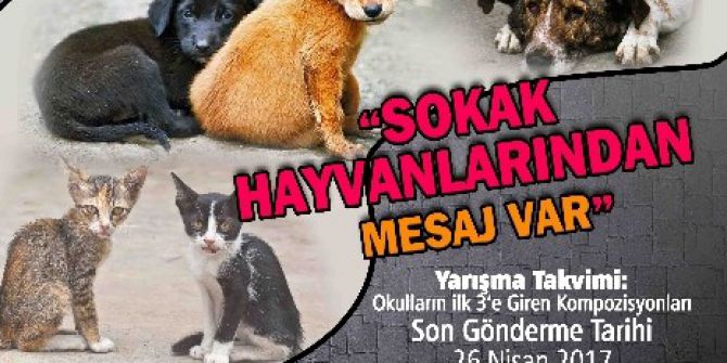 Çocuklar Sokak Hayvanları İçin Yarışacak