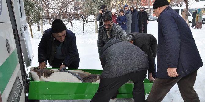 Iraklı Aile Zehirlendi: 2 Ölü