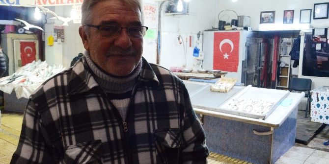 Hamsi Rekora Koşuyor