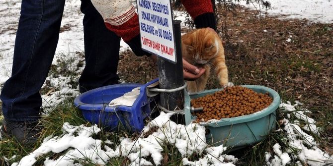 Karabük Belediyesi Sokak Hayvanlarını Unutmadı