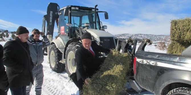 Han Belediyesi Yaban Hayvanları Unutmadı