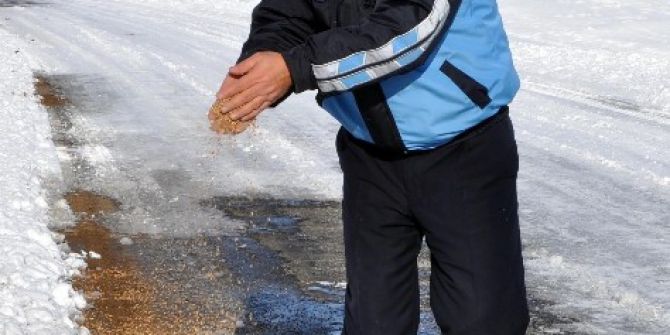 Sorgun’da Yaban Hayvanları İçin Doğaya Yiyecek Bırakıldı