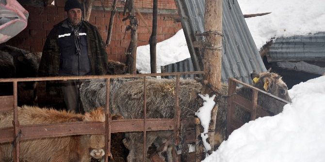 Kar Kütlesine Dayanamayan Dam Çöktü