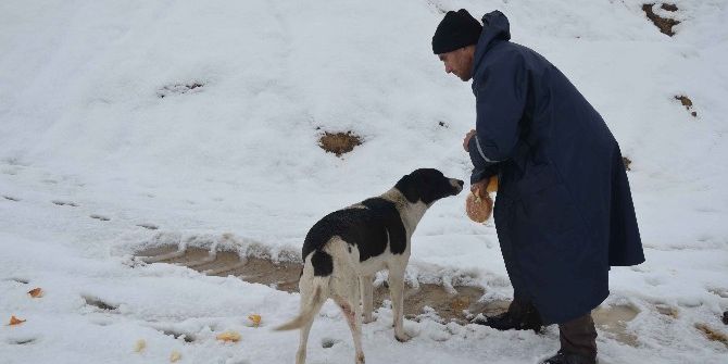 Turgutlu Belediyesi Can Dostlarını Unutmadı