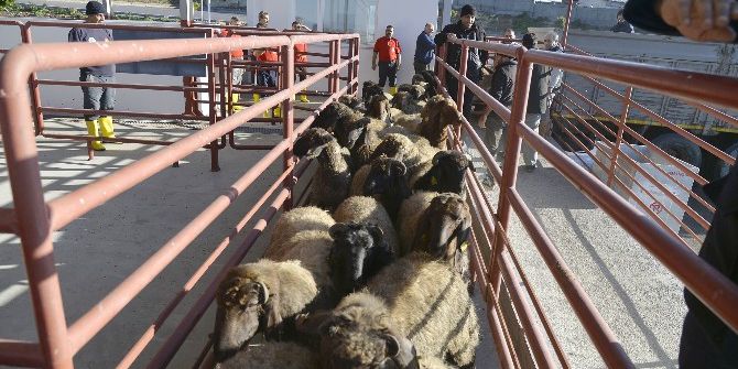Mersin, Modern Mezbahalara Kavuşuyor