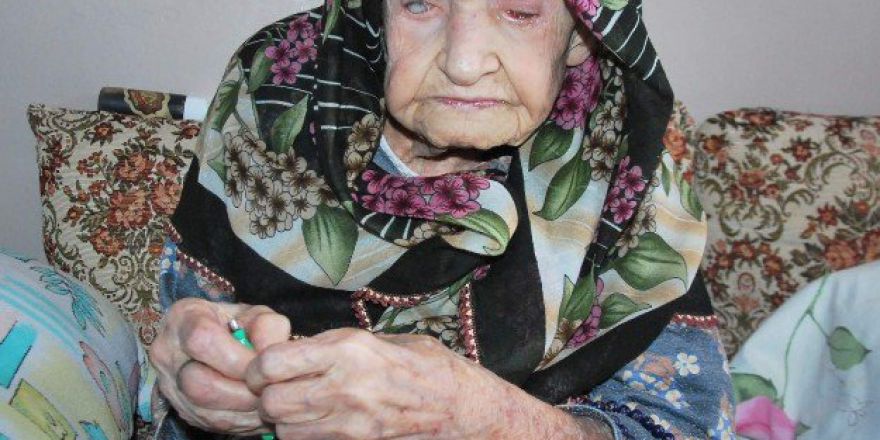 Aydın Yaşlı Çınarlarından Birini Daha Kaybetti