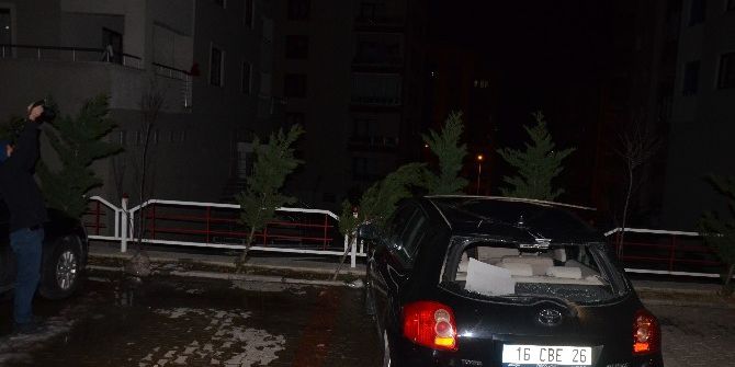 Bursa’da Şiddetli Lodos Ağaçları Söktü, Çatıları Uçurdu