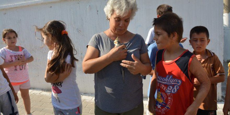 Söke’de Evden Kaçan ‘Sultan’ Kurtarıldı