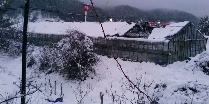 Seralar Kara Dayanamadı