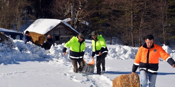 Aç Kalan Yaban Hayvanları İçin Doğaya Yem Bırakıldı