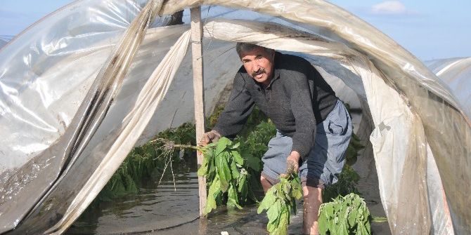 Selin Vurduğu Çiftçiler Yardım Bekliyor