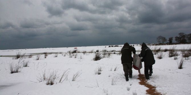 Yaban Hayvanlarına Yem Bırakıldı
