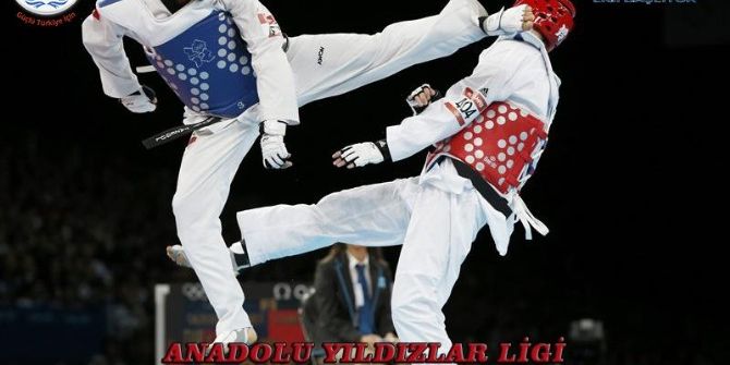 Taekwondo Analig Grup Müsabakaları Nazilli’de Başlıyor