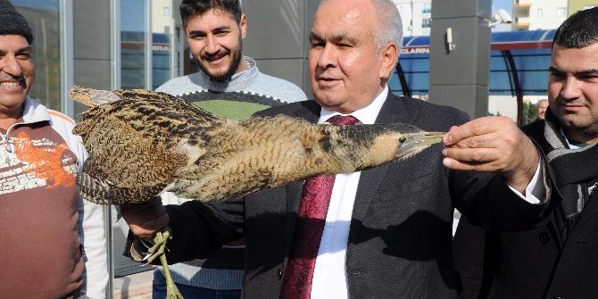 Soğuğa Dayanamayan Göçmen Kuşa Şefkat Eli