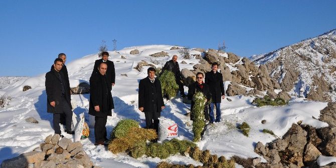 Yaban Hayvanları İçin Doğaya Yem Bıraktılar