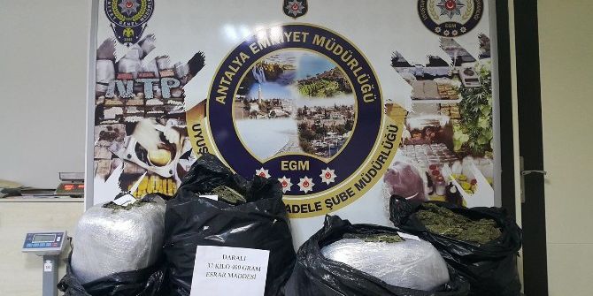 10 Günde 455 Operasyon