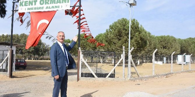 Mangal İncirliova’da İkinci Etap Çalışmalar Başlatıldı