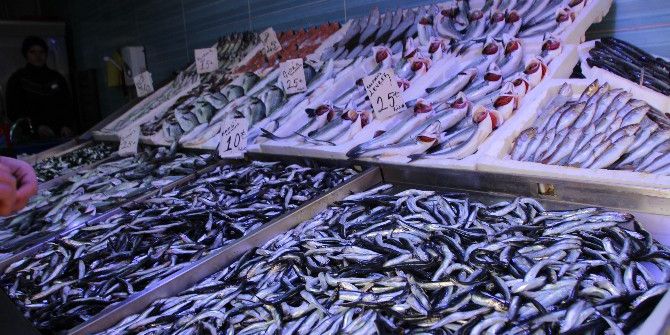 Soğuk Havalardan En Çok Balıkçılar Dertli