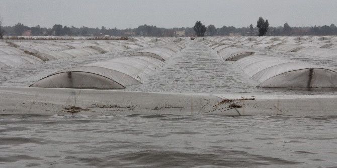 Selin Vurduğu Mersin’de Yaralar Sarılmayı Bekliyor