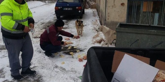 Tepebaşı’nda Sokak Hayvanları Unutulmuyor