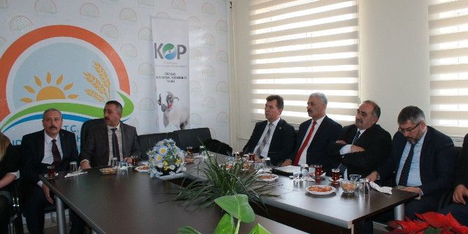 Niğde’de Göçe Karşı Bafra Koyunu