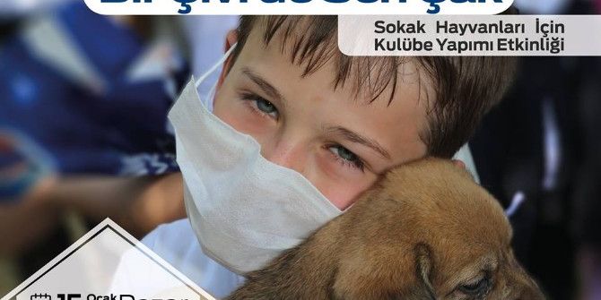 Adapazarı Belediyesi Sokak Hayvanları İçin Çalışmalarına Devam Ediyor