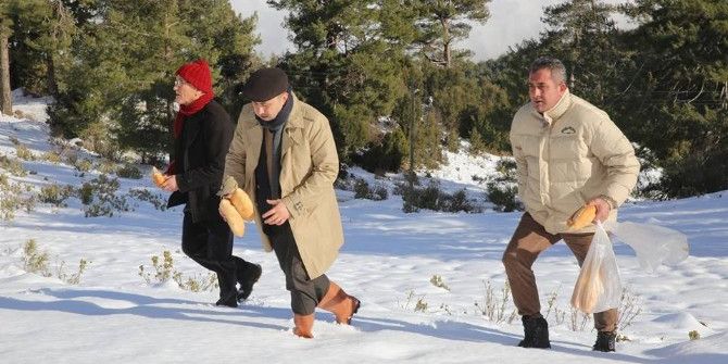 Başkan Sarıoğlu, Kuş Ve Yaban Hayvanlara Yem Bıraktı