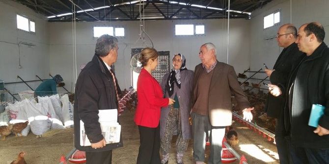 Kilis’te Tavuk İşletmeleri Denetledi