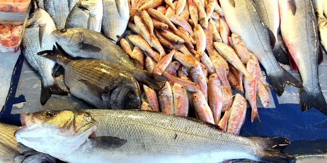 Balıkçılar, Denizlerden Dolar Avlıyor