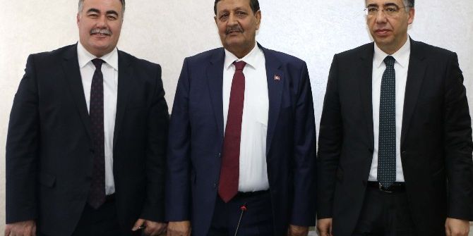 Harran Ovası’na 1 Milyon Zeytin Ağacı