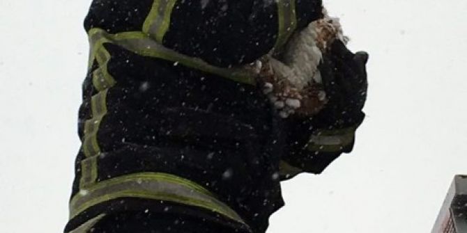 Kediye İtfaiyeci Şefkati