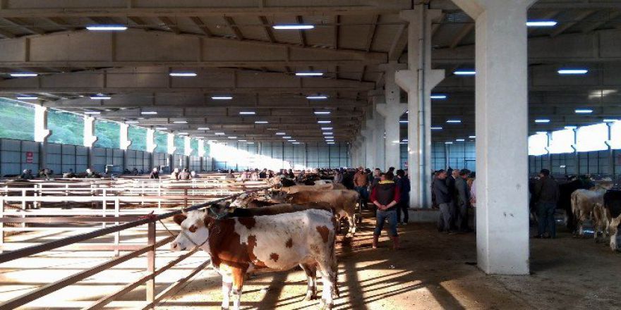 Samsun’da Tarım Ve Hayvancılık Yatırımları