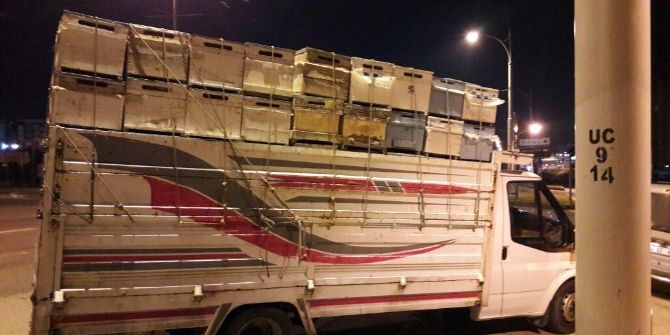 Arı Kovanlarını Çalan Hırsız Diyarbakır’da Yakalandı