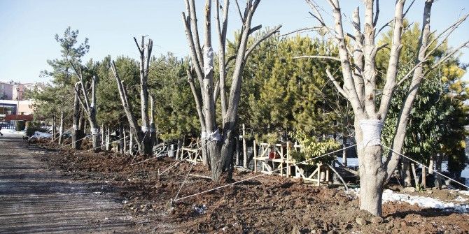 Odunpazarı Belediyesi’nden Açıklama;
