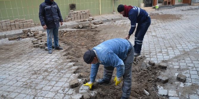 Belediye Ekipleri Düzenleme Çalışmalarına Başladı