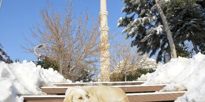 Edirne’de Güneş Kendini Gösterdi