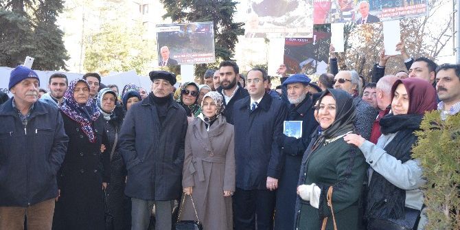 Odunpazarı’nda Asırlık Ağaçların Katledildiği İddiası