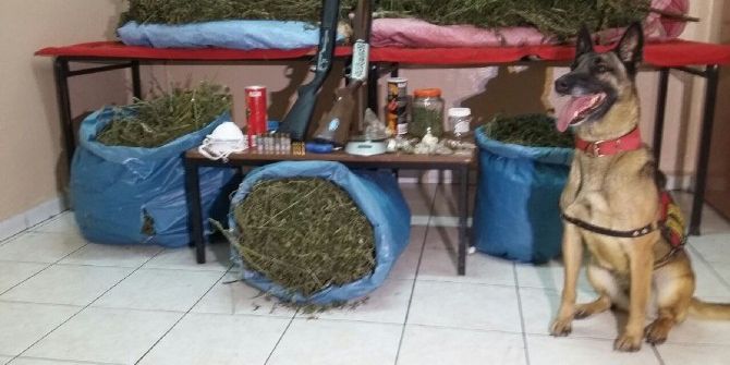 Rize’de 13 Kilo Esrar Ele Geçirildi