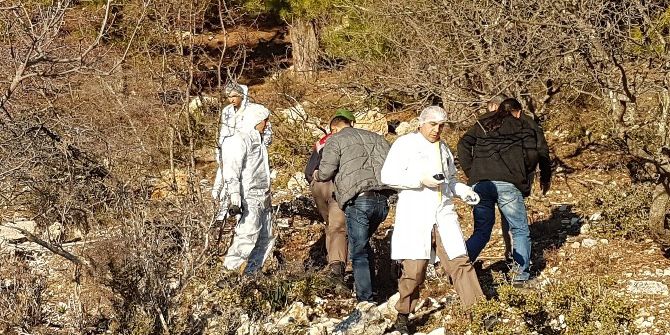 Manavgat’ta Vahşi Hayvanlar Tarafından Parçalanmış Erkek Cesedi Bulundu