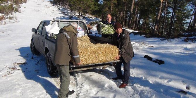 Yaban Hayvanları İçin Doğaya Yem Bırakıldı