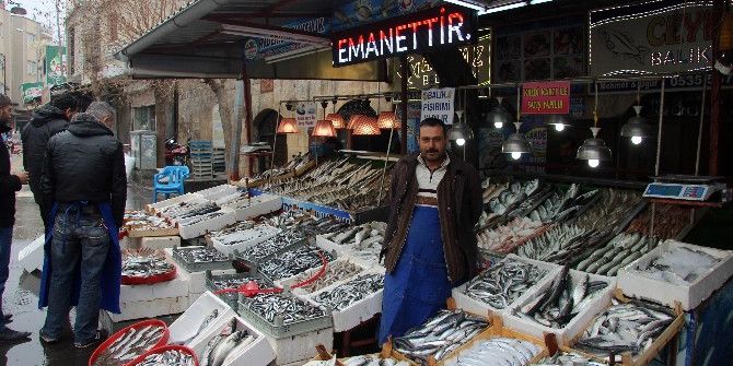 Kar Ve Soğuk Hava Balık Fiyatlarını Yüzde 15 Attırdı