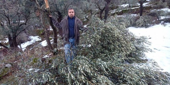 Aydın’da Kar Felaketi