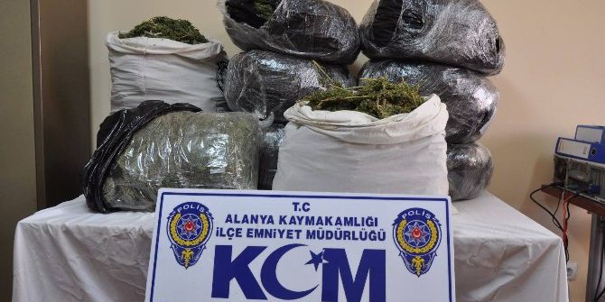 Alanya’da Suç Oranı Düştü