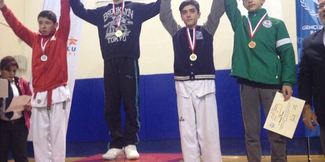 Yıldızlar Anadolu Ligine Dodurgalı Taekwondocular Damga Vurdu