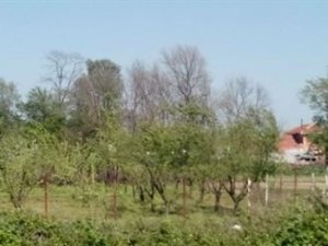 Edirne Bosna Köyü